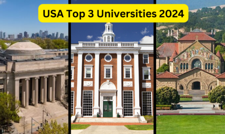 USA Top 3 Universities 2024